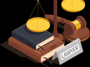 Advocates & Lawyers
