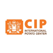 International Potato Center